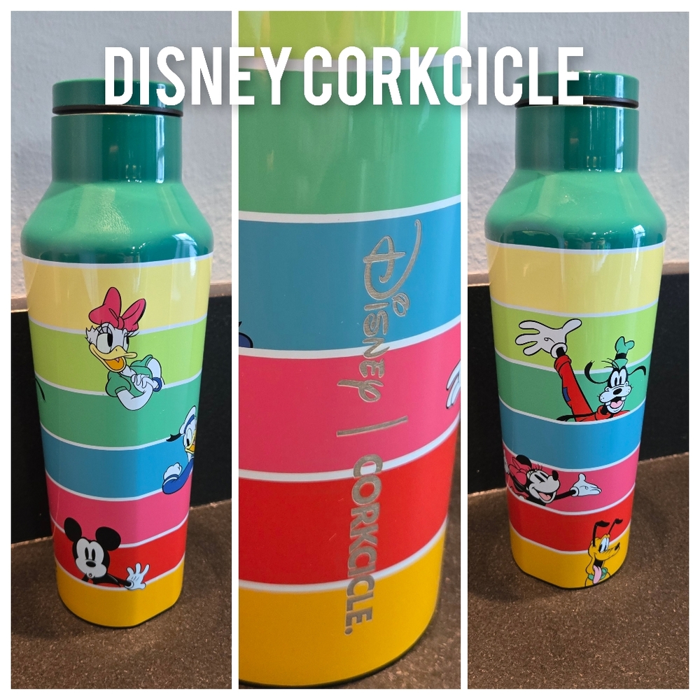 SALE Disney Corkcicle 2024 Canteen